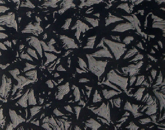hlc-20100426a010001.jpg