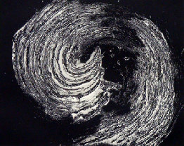 hlc-20100426a029001.jpg