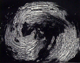 hlc-20100426a029002.jpg