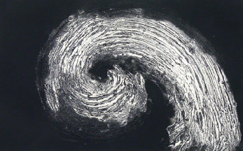 hlc-20100426a029004.jpg