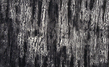 hlc-20100426a030001.jpg